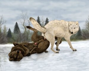 Rating: Explicit Score: 0 Tags: 5:4 amber_eyes anal anal_knotting anal_orgasm anal_penetration anatomically_correct anatomically_correct_genitalia anatomically_correct_penis animal_genitalia animal_penis anus arctic_wolf ass_to_ass backsack balls bodily_fluids brown_body brown_fur canid canine canine_genitalia canine_penis canis casual_knotting claws cloud cum cum_on_belly cum_on_body cum_on_self cum_while_penetrated cumshot detailed_background dewclaw duo e621 ebon_lupus ejaculation evergreen_tree feral feral_on_feral forest fucked_silly fully_sheathed fur genital_fluids genitals guard_hair half-erect hands-free intraspecies knot knot_in_sheath knotting lying male male/male male_penetrated male_penetrating male_penetrating_male mammal on_back orgasm outside penetration penis penis_tip photorealism plant raised_tail realistic reverse_anvil_position sex sheath sheathed_while_penetrated sky snow spread_legs spreading standing tail tail_anus tongue tongue_out tree upside_down white_body white_fur wolf User: bunchy7s