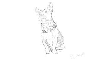 Rating: Safe Score: 0 Tags: 2012 ambiguous_gender canid canine canis chest_tuft claws domestic_dog e621 eyewear feral fur goggles herding_dog mammal monochrome oonami pastoral_dog pawpads paws pose sitting sketch solo tuft welsh_corgi User: bunchy7s Rating: Safe Score: 0 Tags: 2012 ambiguous_gender canid canine canis chest_tuft claws domestic_dog e621 eyewear feral fur goggles herding_dog mammal monochrome oonami pastoral_dog pawpads paws pose sitting sketch solo tuft welsh_corgi User: bunchy7s