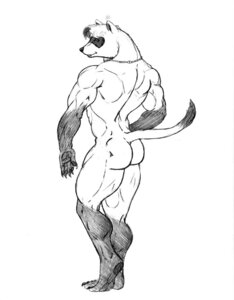 Rating: Questionable Score: 0 Tags: anthro biceps big_muscles biped butt claws domestic_ferret e621 gloves_(marking) greyscale hair jewelry leg_markings looking_at_viewer looking_back looking_back_at_viewer male mammal markings monochrome muscular muscular_anthro muscular_male mustelid musteline necklace nude pawpads paws pose rear_view simple_background smile socks_(marking) solo standing sudonym tail toe_claws true_musteline weasel white_background User: bunchy7s Rating: Questionable Score: 0 Tags: anthro biceps big_muscles biped butt claws domestic_ferret e621 gloves_(marking) greyscale hair jewelry leg_markings looking_at_viewer looking_back looking_back_at_viewer male mammal markings monochrome muscular muscular_anthro muscular_male mustelid musteline necklace nude pawpads paws pose rear_view simple_background smile socks_(marking) solo standing sudonym tail toe_claws true_musteline weasel white_background User: bunchy7s