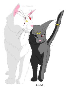 Rating: Safe Score: 0 Tags: accessory artemis_(sailor_moon) domestic_cat duo e621 eyebrows eyelashes felid feline felis female feral fur furgonomics jewelry luna_(sailor_moon) male mammal red_eyes ring sailor_moon_(series) simple_background tail tail_accessory tail_jewelry tail_ring unknown_artist whiskers white_background yellow_eyes User: bunchy7s