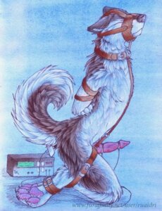 Rating: Explicit Score: 0 Tags: anal anal_penetration animal_genitalia animal_penis anthro bdsm belt bondage bound buttplug canid canine canine_genitalia canine_penis canis collar e621 electrode electrode_dildo electrode_in_ass electrode_on_penis electroejaculation electronics electrostimulation erection eyes_closed fluffy fully_bound gag gagged genitals kneeling knot male male_penetrated mammal nude object_in_ass penetration penis plug_(sex_toy) ruaidri sex_toy solo submissive submissive_male tail wolf User: bunchy7s Rating: Explicit Score: 0 Tags: anal anal_penetration animal_genitalia animal_penis anthro bdsm belt bondage bound buttplug canid canine canine_genitalia canine_penis canis collar e621 electrode electrode_dildo electrode_in_ass electrode_on_penis electroejaculation electronics electrostimulation erection eyes_closed fluffy fully_bound gag gagged genitals kneeling knot male male_penetrated mammal nude object_in_ass penetration penis plug_(sex_toy) ruaidri sex_toy solo submissive submissive_male tail wolf User: bunchy7s