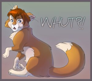 Rating: Safe Score: 0 Tags: ambiguous_feral ambiguous_gender digitigrade dipstick_tail domestic_cat e621 felid feline felis feral hibbary mammal markings quadruped simple_background solo surprised tail tail_markings User: bunchy7s Rating: Safe Score: 0 Tags: ambiguous_feral ambiguous_gender digitigrade dipstick_tail domestic_cat e621 felid feline felis feral hibbary mammal markings quadruped simple_background solo surprised tail tail_markings User: bunchy7s