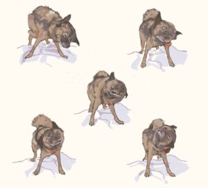 Rating: Safe Score: 0 Tags: ambiguous_gender canid canine canis dameda digital_media_(artwork) digital_painting_(artwork) domestic_dog e621 feral hi_res mammal painting_(artwork) shaking simple_background solo white_background User: bunchy7s Rating: Safe Score: 0 Tags: ambiguous_gender canid canine canis dameda digital_media_(artwork) digital_painting_(artwork) domestic_dog e621 feral hi_res mammal painting_(artwork) shaking simple_background solo white_background User: bunchy7s