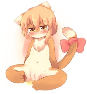 Rating: Explicit Score: 0 Tags: akitaka anthro blush bodily_fluids chest_tuft domestic_cat e621 felid feline felis female fur genital_fluids genitals mammal nude peeing plump_labia ribbons solo tail tears tuft urine urine_on_ground urine_pool vulva watersports young young_anthro young_female User: bunchy7s