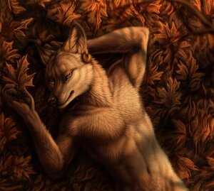 Rating: Safe Score: 0 Tags: anthro autumn biped black_nose canid canine canis close-up detailed detailed_fur domestic_dog e621 ear_piercing fur leaf looking_at_viewer lying male mammal mikhail_(rukis) navel on_back orange_eyes piercing pose rukis solo yellow_eyes User: bunchy7s