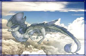 Rating: Safe Score: 0 Tags: accessory ambiguous_gender anarchpeace asian_mythology blue_body blue_fur border cloud detailed dragon e621 east_asian_mythology eastern_dragon feathered_dragon feathered_scalie feathered_wings feathers feral flying fur furgonomics furred_dragon furred_scalie hi_res jewelry mixed_media mythological_creature mythological_scalie mythology outside photo_background photography_(artwork) ring scalie sky skyscape solo tail tail_accessory tail_jewelry tail_ring tail_tuft toony tuft whiskers white_body white_fur wings User: bunchy7s