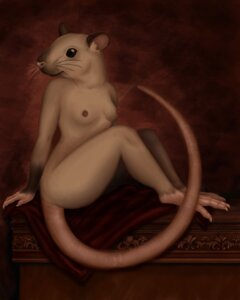 Rating: Questionable Score: 0 Tags: 4:5 anthro biped breasts brown_background brown_eyes claws e621 feet female fur looking_back mammal missrat mouse murid murine nipples nude pink_body pink_skin restricted_palette rodent side_view simple_background sitting small_breasts solo tail toes whiskers white_body white_fur User: bunchy7s Rating: Questionable Score: 0 Tags: 4:5 anthro biped breasts brown_background brown_eyes claws e621 feet female fur looking_back mammal missrat mouse murid murine nipples nude pink_body pink_skin restricted_palette rodent side_view simple_background sitting small_breasts solo tail toes whiskers white_body white_fur User: bunchy7s