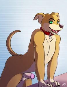 Rating: Explicit Score: 0 Tags: abstract_background anthro arched_back arius athletic athletic_anthro athletic_male balls belly black_nose blue_background butt canid canine canis casual_erection collar collar_only collar_ring collar_tag domestic_dog e621 erection eyebrows floppy_ears foreskin front_view fur genitals glans glistening glistening_eyes glistening_nose gloves_(marking) gradient_background green_eyes greyhound humanoid_genitalia humanoid_penis hunting_dog kwikdog leaning light looking_aside looking_at_viewer male mammal markings multicolored_body multicolored_fur multicolored_penis nude open_mouth open_smile partially_retracted_foreskin pecs penis pink_glans pink_penis pink_tongue pinup pose raised_tail red_collar shadow sighthound signature simple_background slim smile snout solo tail tan_balls tan_belly tan_body tan_fur tan_penis teeth thick_penis tongue two_tone_penis urethra white_background yellow_body yellow_fur User: bunchy7s Rating: Explicit Score: 0 Tags: abstract_background anthro arched_back arius athletic athletic_anthro athletic_male balls belly black_nose blue_background butt canid canine canis casual_erection collar collar_only collar_ring collar_tag domestic_dog e621 erection eyebrows floppy_ears foreskin front_view fur genitals glans glistening glistening_eyes glistening_nose gloves_(marking) gradient_background green_eyes greyhound humanoid_genitalia humanoid_penis hunting_dog kwikdog leaning light looking_aside looking_at_viewer male mammal markings multicolored_body multicolored_fur multicolored_penis nude open_mouth open_smile partially_retracted_foreskin pecs penis pink_glans pink_penis pink_tongue pinup pose raised_tail red_collar shadow sighthound signature simple_background slim smile snout solo tail tan_balls tan_belly tan_body tan_fur tan_penis teeth thick_penis tongue two_tone_penis urethra white_background yellow_body yellow_fur User: bunchy7s
