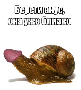 Rating: Explicit Score: 0 Tags: male male_only rule34 snail tagme User: bunchy7s Rating: Explicit Score: 0 Tags: male male_only rule34 snail tagme User: bunchy7s