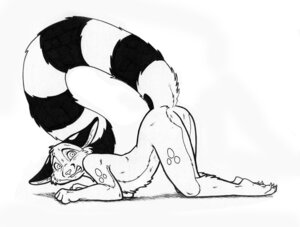 Rating: Questionable Score: 0 Tags: all_fours anthro ass_up barefoot bassariscus biped black_and_white butt cacomistle chester_ringtail_magreer claws desiree_lee e621 feet havoc_inc. james_m_hardiman looking_at_viewer male mammal markings monochrome oh_exploitable procyonid raised_tail ring_(marking) ringed_tail scared solo striped_markings striped_tail stripes tail tail_markings template toes wide_eyed User: bunchy7s