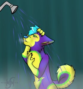 Rating: Questionable Score: 0 Tags: 2013 anthro blush canid canine canis countershade_border domestic_dog e621 husky male mammal nordic_sled_dog nude pinki-husky sheeva_aietsukima shower shower_head solo spitz tail wet User: bunchy7s