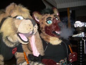 Rating: Safe Score: 0 Tags: 4:3 ambiguous_gender anthro antlers clothing costume duo e621 fursuit grandfathered_content hookah horn hyena jackalope lagomorph looking_at_viewer mammal real smoke spotted_hyena wpf User: bunchy7s