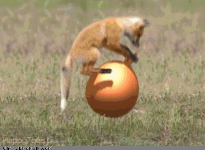 Rating: Safe Score: 0 Tags: 3d_(artwork) 3d_animation ambiguous_gender animated animated_gif ball bouncing canid canine digital_media_(artwork) e621 feral fox funny_post_number grass happytoast humor loop low_res mammal plant quadruped short_playtime solo space_hopper tail watermark what User: bunchy7s