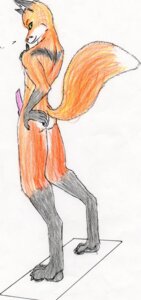 Rating: Explicit Score: 0 Tags: absurd_res anthro butt canid canine e621 erection fox genitals hi_res knot looking_at_viewer male mammal nude penis raised_tail solo tail wred wred_(character) User: bunchy7s