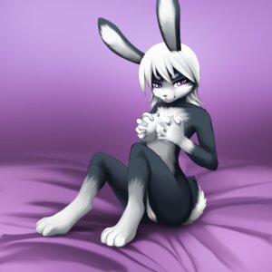 Rating: Explicit Score: 0 Tags: 1:1 2013 anthro breasts clitoris darkmirage e621 female fur genitals grey_body grey_fur hair lagomorph leporid mammal nude purple_eyes rabbit solo vulva white_hair User: bunchy7s Rating: Explicit Score: 0 Tags: 1:1 2013 anthro breasts clitoris darkmirage e621 female fur genitals grey_body grey_fur hair lagomorph leporid mammal nude purple_eyes rabbit solo vulva white_hair User: bunchy7s
