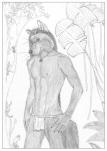 Rating: Safe Score: 0 Tags: 5_fingers anthro biped border bottomwear canid canine canis claws clothed clothing e621 fingers forest fur hair humanoid_hands jungle loincloth long_hair looking_at_viewer male mammal monochrome navel nipples outside plant simple_background smile solo standing topless tree unknown_artist white_border wolf User: bunchy7s Rating: Safe Score: 0 Tags: 5_fingers anthro biped border bottomwear canid canine canis claws clothed clothing e621 fingers forest fur hair humanoid_hands jungle loincloth long_hair looking_at_viewer male mammal monochrome navel nipples outside plant simple_background smile solo standing topless tree unknown_artist white_border wolf User: bunchy7s