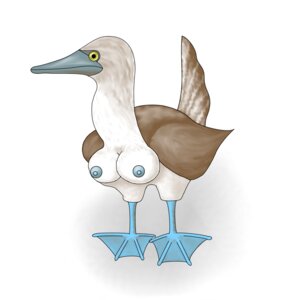Rating: Explicit Score: 0 Tags: bird blue-footed_booby female galapagos rule34 tagme User: bunchy7s Rating: Explicit Score: 0 Tags: bird blue-footed_booby female galapagos rule34 tagme User: bunchy7s