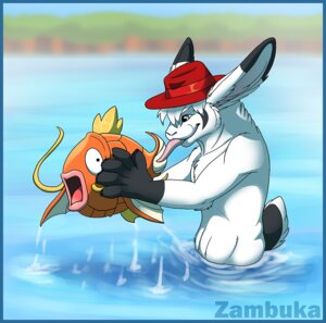 Rating: Safe Score: 0 Tags: 2011 anthro barbel_(anatomy) blue_border border clothing digital_media_(artwork) duo e621 flesh_whiskers generation_1_pokemon half_submerged hat hat_only headgear headgear_only headwear headwear_only lagomorph leporid licking magikarp male mammal mostly_nude nintendo nude outside partially_submerged pokemon pokemon_(species) rabbit standing standing_in_water tongue tongue_out water wet zambuka User: bunchy7s Rating: Safe Score: 0 Tags: 2011 anthro barbel_(anatomy) blue_border border clothing digital_media_(artwork) duo e621 flesh_whiskers generation_1_pokemon half_submerged hat hat_only headgear headgear_only headwear headwear_only lagomorph leporid licking magikarp male mammal mostly_nude nintendo nude outside partially_submerged pokemon pokemon_(species) rabbit standing standing_in_water tongue tongue_out water wet zambuka User: bunchy7s