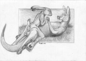 Rating: Explicit Score: 0 Tags: animal_genitalia animal_penis anthro duo e621 female female_penetrated foxia genitals greyscale hare kangaroo lagomorph leporid macropod male male/female male_penetrating male_penetrating_female mammal marsupial monochrome nude penetration penile penile_penetration penis penis_in_vagina sex sketch vaginal vaginal_penetration User: bunchy7s Rating: Explicit Score: 0 Tags: animal_genitalia animal_penis anthro duo e621 female female_penetrated foxia genitals greyscale hare kangaroo lagomorph leporid macropod male male/female male_penetrating male_penetrating_female mammal marsupial monochrome nude penetration penile penile_penetration penis penis_in_vagina sex sketch vaginal vaginal_penetration User: bunchy7s