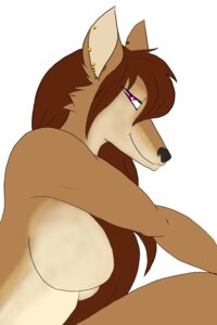 Rating: Safe Score: 0 Tags: 2:3 anthro canid canine e621 female fox hair long_hair looking_at_viewer mammal piercing purple_eyes simple_background smile solo unknown_artist User: bunchy7s Rating: Safe Score: 0 Tags: 2:3 anthro canid canine e621 female fox hair long_hair looking_at_viewer mammal piercing purple_eyes simple_background smile solo unknown_artist User: bunchy7s