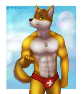 Rating: Questionable Score: 0 Tags: 2013 abs anthro beach biceps big_muscles biped black_nose bodily_fluids bulge canid canine canis clothed clothing countershading dog_tags domestic_dog e621 fur green_eyes hair hi_res husky lifeguard male mammal muscular muscular_anthro muscular_male nipples nordic_sled_dog outside pecs pose seaside solo speedo spitz standing summer sweat swimwear topless zeta-haru User: bunchy7s