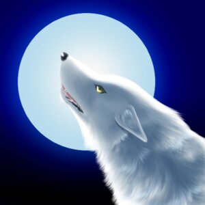 Rating: Safe Score: 0 Tags: 1:1 2010 ambiguous_gender canid canine canis e621 feral fur garouga headshot_portrait icon low_res mammal moon portrait side_view solo white_body white_fur wolf yellow_eyes User: bunchy7s