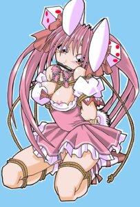 Rating: Explicit Score: 0 Tags: 1girls animal_ear animal_ears bit_gag bitchsuit bondage breast_bondage breasts bunny_ear bunny_ears di_gi_charat dice female frogtie gag gagged human large_breasts light-skinned_female light_skin long_hair nipple_slip nipples pall_(artist) rope rope_bondage rule34 solo twintails usada_hikaru User: bunchy7s