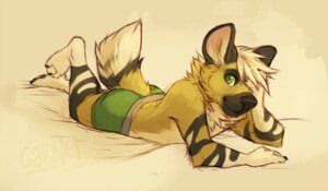 Rating: Safe Score: 0 Tags: african_wild_dog anthro barefoot biped boxer_briefs canid canine clothed clothing conditional_dnp e621 feet garnetto green_clothing green_eyes green_underwear hair male mammal solo topless underwear white_hair User: bunchy7s