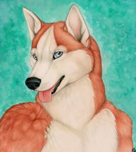 Rating: Safe Score: 0 Tags: 2011 anthro black_nose blue_eyes bust_portrait canid canine canis domestic_dog e621 front_view fur husky korrok looking_at_viewer male mammal nordic_sled_dog nude open_mouth orange_body orange_fur portrait simple_background solo spitz teal_background tongue tongue_out white_body white_fur User: bunchy7s