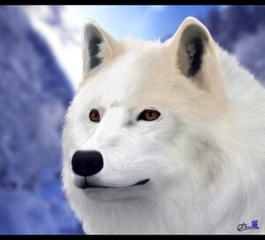 Rating: Safe Score: 0 Tags: 2013 ambiguous_gender black_bars black_nose brown_eyes canid canine canis depth_of_field detailed e621 feral fluffy fur hair kambo letterbox mammal solo white_body white_fur wolf User: bunchy7s