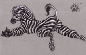 Rating: Explicit Score: 0 Tags: 1boy 2007 anthro anus ass balls blackteagan blotch collaboration colored_background equine furry furry_only male male_only nude raised_tail rule34 solo tail tess_garman zebra User: bunchy7s