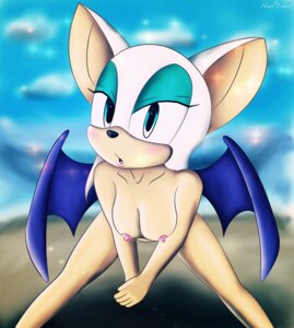 Rating: Explicit Score: 0 Tags: 2014 absurd_res anthro bat digital_media_(artwork) e621 female hi_res howl_echoes mammal membrane_(anatomy) membranous_wings nude rouge_the_bat sega solo sonic_the_hedgehog_(series) wings User: bunchy7s