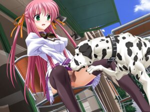 Rating: Explicit Score: 0 Tags: aihara_sarina canine canine_on_human censored cunnilingus cunnilingus_from_canine delta female female_human green_eyes human male male/female male_canine pink_hair rule34 shiiku_hakusho shiiku_hakusho_-_kusari_ni_tsunagareta_doukyuusei thighhighs zoophilia User: bunchy7s Rating: Explicit Score: 0 Tags: aihara_sarina canine canine_on_human censored cunnilingus cunnilingus_from_canine delta female female_human green_eyes human male male/female male_canine pink_hair rule34 shiiku_hakusho shiiku_hakusho_-_kusari_ni_tsunagareta_doukyuusei thighhighs zoophilia User: bunchy7s