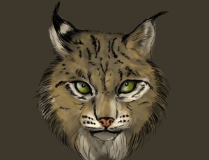 Rating: Safe Score: 0 Tags: ambiguous_gender e621 ear_tuft felid feline feral fur green_eyes looking_at_viewer lynx mammal naaby solo tuft User: bunchy7s Rating: Safe Score: 0 Tags: ambiguous_gender e621 ear_tuft felid feline feral fur green_eyes looking_at_viewer lynx mammal naaby solo tuft User: bunchy7s