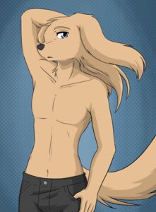 Rating: Safe Score: 0 Tags: abstract_background anthro black_nose blue_eyes bottomwear brown_body brown_fur brown_hair canid canine canis clothed clothing domestic_dog e621 fur hair kurapika long_hair looking_at_viewer male mammal pants pose raven_wolf simple_background solo steve_(raven_wolf) tan_body tan_fur topless User: bunchy7s