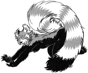 Rating: Questionable Score: 0 Tags: 2007 5_fingers ailurid all_fours anthro biped breasts claws e621 eyes_closed feet female finger_claws fingers greyscale mammal monochrome nipples nude open_mouth outstretched_arms raised_tail red_panda side_view simple_background solo stretching stripes tail toe_claws uaykan white_background yawn User: bunchy7s