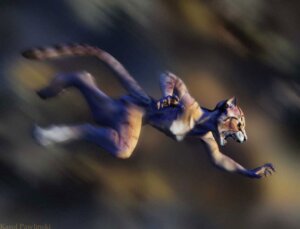 Rating: Questionable Score: 0 Tags: 3d_(artwork) action_pose blurred_background digital_media_(artwork) e621 felid female karol_pawlinski mammal nude pantherine pose side_view solo stripes tail tiger User: bunchy7s Rating: Questionable Score: 0 Tags: 3d_(artwork) action_pose blurred_background digital_media_(artwork) e621 felid female karol_pawlinski mammal nude pantherine pose side_view solo stripes tail tiger User: bunchy7s