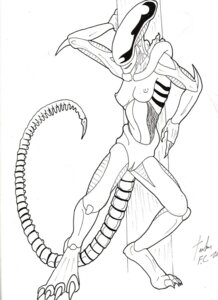 Rating: Explicit Score: 0 Tags: 1girls 2d alien_(franchise) female female_only female_xenomorph no_humans pussy rule34 sketch solo solo_female tagme xenomorph xenomorph_tail User: bunchy7s Rating: Explicit Score: 0 Tags: 1girls 2d alien_(franchise) female female_only female_xenomorph no_humans pussy rule34 sketch solo solo_female tagme xenomorph xenomorph_tail User: bunchy7s