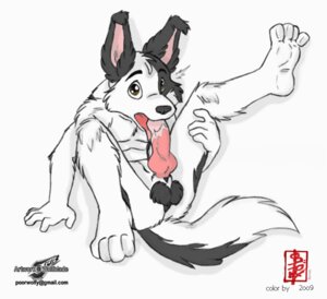 Rating: Explicit Score: 0 Tags: adolescent animal_genitalia animal_penis anthro autofellatio balls bodily_fluids border_collie canid canine canine_genitalia canine_penis canis collie cum cum_on_own_tongue cum_on_self cum_on_tongue domestic_dog e621 erection genital_fluids genitals herding_dog jesse_collins knot looking_at_viewer male mammal masturbation nude oral oral_masturbation oral_penetration pastoral_dog penetration penile penile_masturbation penis sheath sheepdog solo tail tongue wolfblade young young_anthro young_male User: bunchy7s