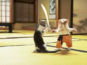 Rating: Safe Score: 0 Tags: 4:3 ambiguous_gender dojo domestic_cat duo e621 felid feline felis feral fight grandfathered_content humor mammal melee_weapon photo_manipulation real shopped sword tabby_cat tail third-party_edit unknown_artist weapon young young_feral User: bunchy7s Rating: Safe Score: 0 Tags: 4:3 ambiguous_gender dojo domestic_cat duo e621 felid feline felis feral fight grandfathered_content humor mammal melee_weapon photo_manipulation real shopped sword tabby_cat tail third-party_edit unknown_artist weapon young young_feral User: bunchy7s