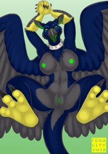 Rating: Explicit Score: 0 Tags: 2013 anthro anus avian beak biped blue_body blue_feathers breasts clitoris collar e621 ear_piercing feathered_wings feathers female genitals green_vulva gryphon hi_res kadohusky lying mythological_avian mythological_creature mythology nipples non-mammal_breasts non-mammal_nipples nude on_back piercing solo tail vulva wings User: bunchy7s