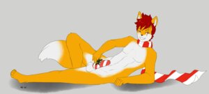 Rating: Explicit Score: 0 Tags: anthro candy_cane_condom canid canine condom e621 fan_character fox genitals hi_res kai_the_fox kissing_bough kiyoshi_fox male mammal mistletoe nanuna penis plant pose scar scarf sexual_barrier_device solo wearing_condom User: bunchy7s