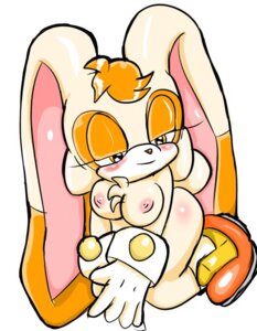 Rating: Explicit Score: 0 Tags: anthro cream_the_rabbit female lagomorph rabbit rule34 sega sonic_(series) straight_hair tagme User: bunchy7s Rating: Explicit Score: 0 Tags: anthro cream_the_rabbit female lagomorph rabbit rule34 sega sonic_(series) straight_hair tagme User: bunchy7s