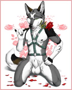 Rating: Explicit Score: 0 Tags: 2012 animal_genitalia anthro balls biped black_nipples black_nose black_sheath_slit canid canine canis chest_tuft claws closed_sheath_slit detached_sheath e621 flaccid flower flower_in_mouth fully_sheathed fur genitals green_eyes grey_body grey_fur harness holding_flower holding_object kenovawolf kneeling looking_at_viewer male mammal markings nipples nude penis plant rose_(flower) rose_in_mouth sheath sheath_slit simple_background solo tail teeth truegrave9 tuft wolf User: bunchy7s