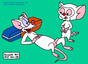 Rating: Explicit Score: 0 Tags: 2000 anthro furry humanoid male male_only pinky pinky_and_the_brain rule34 tagme User: bunchy7s Rating: Explicit Score: 0 Tags: 2000 anthro furry humanoid male male_only pinky pinky_and_the_brain rule34 tagme User: bunchy7s
