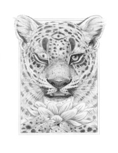 Rating: Safe Score: 0 Tags: ambiguous_gender e621 felid feral flower fur graphite_(artwork) greyscale hibbary inner_ear_fluff looking_at_viewer mammal monochrome one_eye_closed pantherine plant simple_background solo spots traditional_media_(artwork) tuft white_background wink User: bunchy7s Rating: Safe Score: 0 Tags: ambiguous_gender e621 felid feral flower fur graphite_(artwork) greyscale hibbary inner_ear_fluff looking_at_viewer mammal monochrome one_eye_closed pantherine plant simple_background solo spots traditional_media_(artwork) tuft white_background wink User: bunchy7s