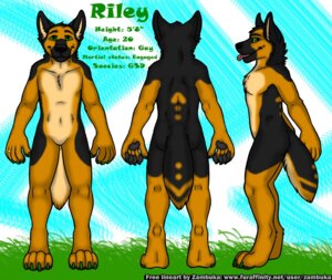 Rating: Safe Score: 0 Tags: 4_toes anthro canid canine canis claws digit_ring digital_media_(artwork) domestic_dog e621 engagement_ring english_text feet german_shepherd grass green_claws green_eyes herding_dog jewelry male mammal model_sheet pastoral_dog plant riley_zenova side_view solo text toes tongue turnaround url zambuka User: bunchy7s
