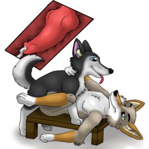 Rating: Explicit Score: 0 Tags: 1:1 anal anal_knotting anal_penetration animal_genitalia animal_penis anthro anthro_on_feral anthro_penetrated bestiality blue_eyes canid canine canine_genitalia canine_penis canis coyote cutaway domestic_dog duo e621 erection feral feral_penetrating feral_penetrating_anthro fur furniture genitals husky inner_ear_fluff interspecies intraspecies intraspecies_bestiality knot knotting low_res male male/male male_penetrated male_penetrating male_penetrating_male mammal nordic_sled_dog one_eye_closed penetration penis red_penis sex simple_background spitz table tail tongue tuft white_background zoophilic User: bunchy7s