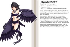 Rating: Questionable Score: 0 Tags: 3:2 avian belt black_hair black_harpy_(mge) blush bottomwear choker claws clothed clothing collar digitigrade e621 ear_piercing ear_ring english_text european_mythology feathered_wings feathers female fur greek_mythology hair hard_translated harpy humanoid humanoid_pointy_ears jewelry kenkou_cross model_sheet monster_girl_(genre) monster_girl_encyclopedia monster_girl_profile mythological_avian mythological_creature mythology navel necklace official_art on_one_leg piercing pointy_ears red_eyes ring_piercing shorts side-tie_bottomwear side-tie_hotpants skimpy solo standing tail tail_feathers text the_more_you_know third-party_edit translated translation_edit winged_humanoid wings User: bunchy7s Rating: Questionable Score: 0 Tags: 3:2 avian belt black_hair black_harpy_(mge) blush bottomwear choker claws clothed clothing collar digitigrade e621 ear_piercing ear_ring english_text european_mythology feathered_wings feathers female fur greek_mythology hair hard_translated harpy humanoid humanoid_pointy_ears jewelry kenkou_cross model_sheet monster_girl_(genre) monster_girl_encyclopedia monster_girl_profile mythological_avian mythological_creature mythology navel necklace official_art on_one_leg piercing pointy_ears red_eyes ring_piercing shorts side-tie_bottomwear side-tie_hotpants skimpy solo standing tail tail_feathers text the_more_you_know third-party_edit translated translation_edit winged_humanoid wings User: bunchy7s