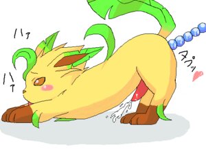 Rating: Explicit Score: 0 Tags: anal_beads cum eeveelution feral generation_4_pokemon leafeon male male_only nintendo nude penis pokemon pokemon_(species) rule34 side_view solo tagme User: bunchy7s Rating: Explicit Score: 0 Tags: anal_beads cum eeveelution feral generation_4_pokemon leafeon male male_only nintendo nude penis pokemon pokemon_(species) rule34 side_view solo tagme User: bunchy7s